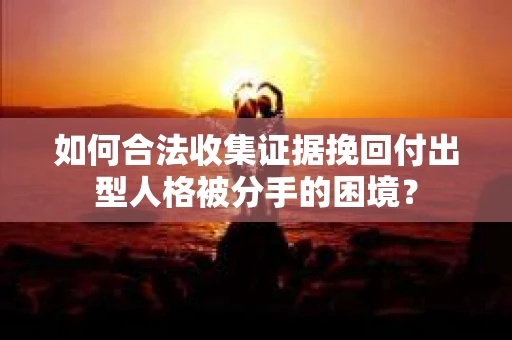如何合法收集证据挽回付出型人格被分手的困境？