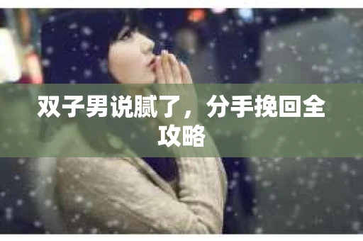 双子男说腻了，分手挽回全攻略