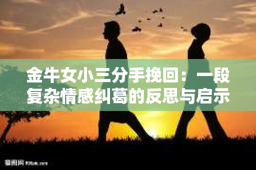 金牛女小三分手挽回：一段复杂情感纠葛的反思与启示