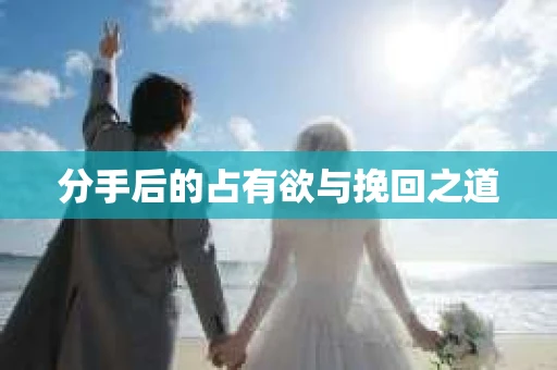 分手后的占有欲与挽回之道