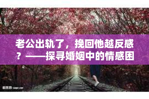 老公出轨了，挽回他越反感？——探寻婚姻中的情感困境与解决之道