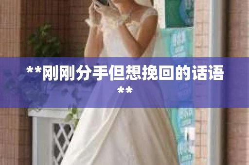 **刚刚分手但想挽回的话语**