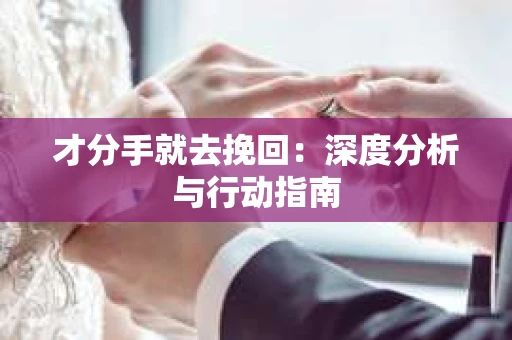 才分手就去挽回：深度分析与行动指南