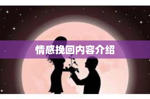 情感挽回内容介绍