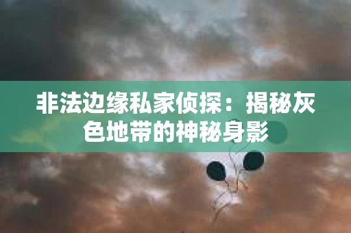 非法边缘私家侦探：揭秘灰色地带的神秘身影