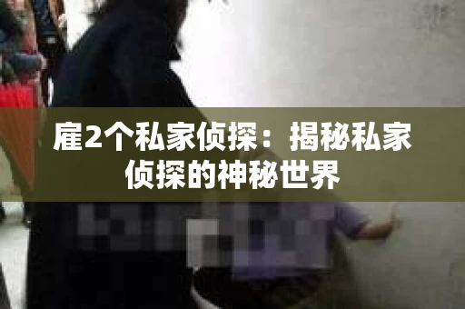 雇2个私家侦探：揭秘私家侦探的神秘世界