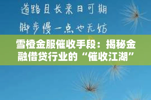 雪橙金服催收手段：揭秘金融借贷行业的“催收江湖”