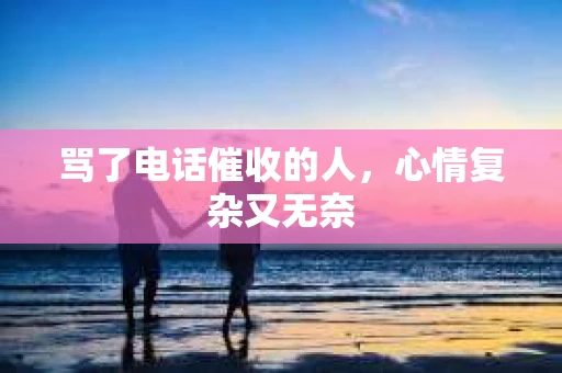 骂了电话催收的人，心情复杂又无奈