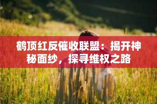 鹤顶红反催收联盟：揭开神秘面纱，探寻维权之路