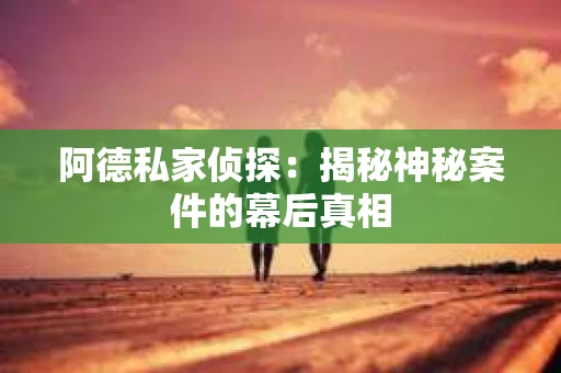 阿德私家侦探：揭秘神秘案件的幕后真相