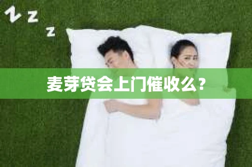 麦芽贷会上门催收么？