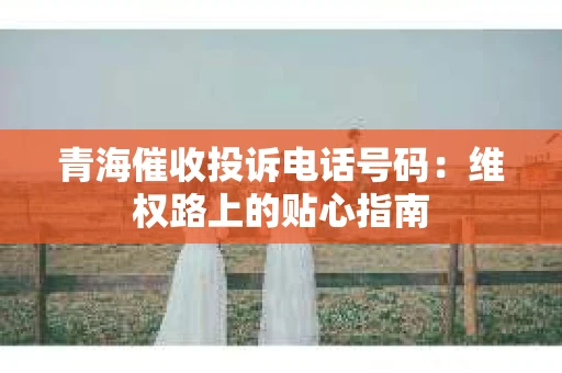 青海催收投诉电话号码：维权路上的贴心指南