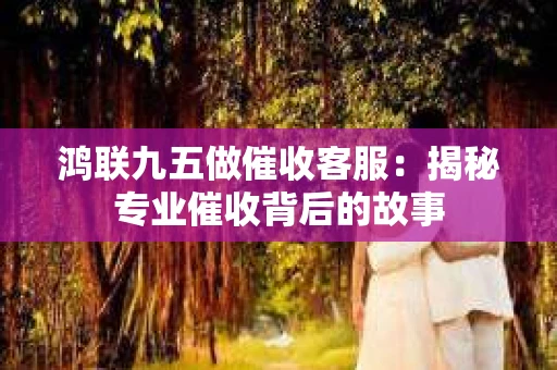 鸿联九五做催收客服：揭秘专业催收背后的故事