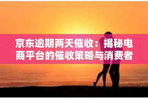 京东逾期两天催收：揭秘电商平台的催收策略与消费者权益保护