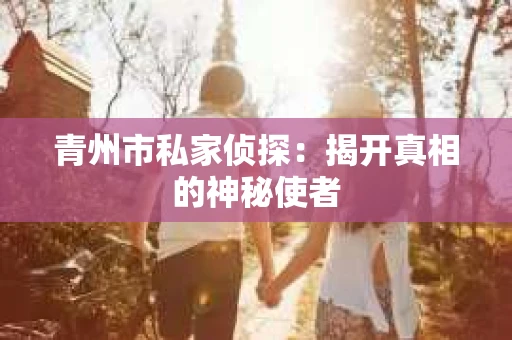 青州市私家侦探：揭开真相的神秘使者
