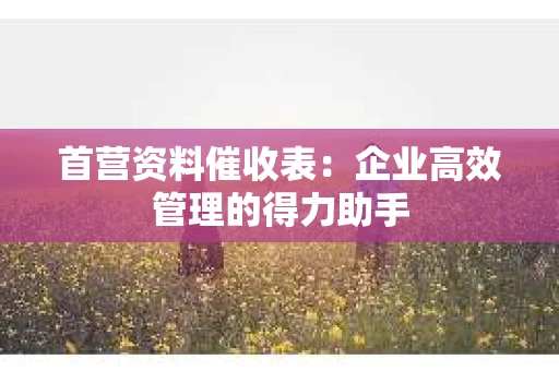 首营资料催收表：企业高效管理的得力助手