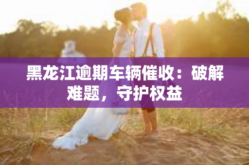 黑龙江逾期车辆催收：破解难题，守护权益
