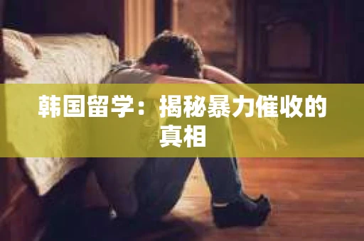 韩国留学：揭秘暴力催收的真相