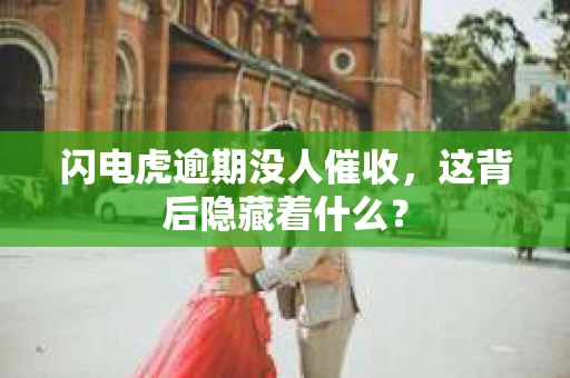 闪电虎逾期没人催收，这背后隐藏着什么？