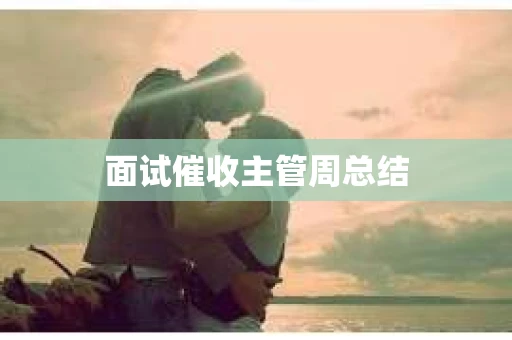 面试催收主管周总结