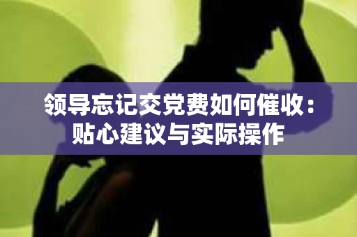 领导忘记交党费如何催收：贴心建议与实际操作
