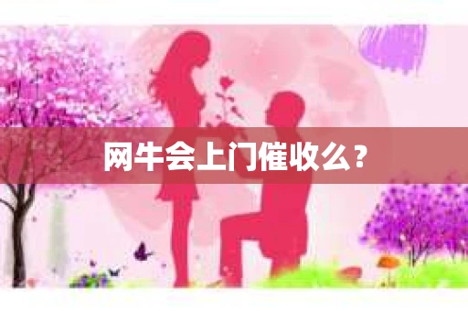 网牛会上门催收么？