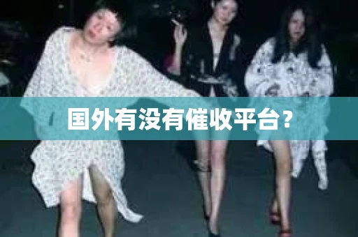 国外有没有催收平台？