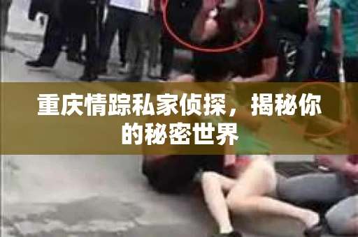 重庆情踪私家侦探，揭秘你的秘密世界