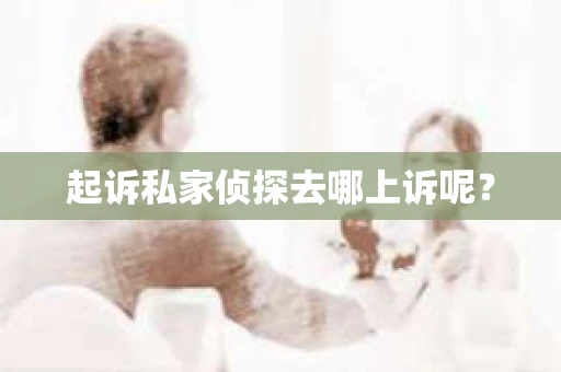 起诉私家侦探去哪上诉呢？