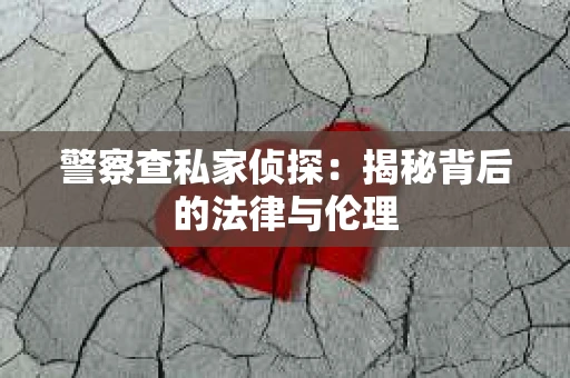 警察查私家侦探：揭秘背后的法律与伦理