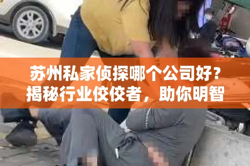 苏州私家侦探哪个公司好？揭秘行业佼佼者，助你明智选择