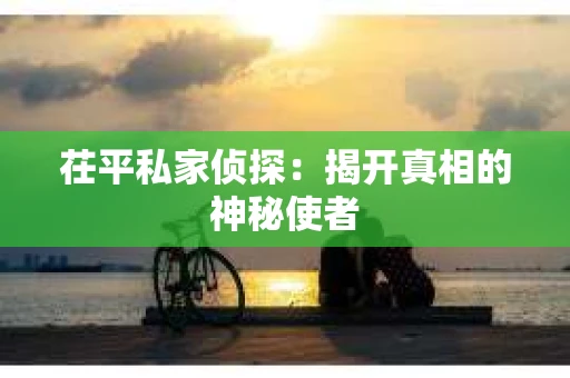 茌平私家侦探：揭开真相的神秘使者