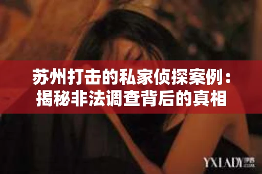 苏州打击的私家侦探案例：揭秘非法调查背后的真相
