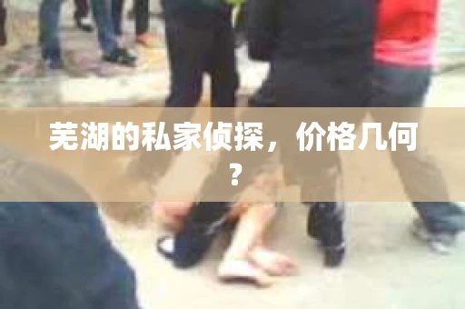 芜湖的私家侦探，价格几何？