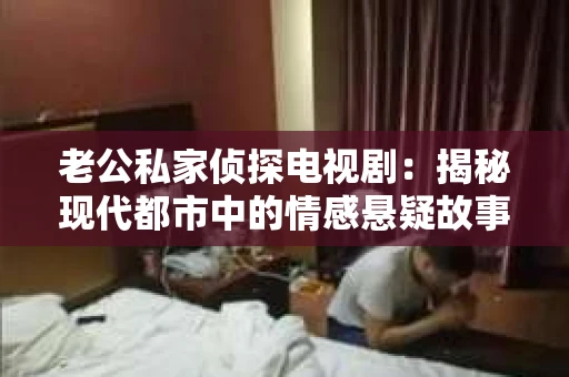 老公私家侦探电视剧：揭秘现代都市中的情感悬疑故事