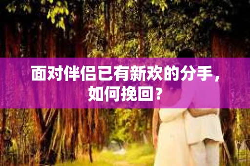 面对伴侣已有新欢的分手，如何挽回？