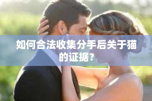 如何合法收集分手后关于猫的证据？