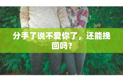 分手了说不爱你了，还能挽回吗？