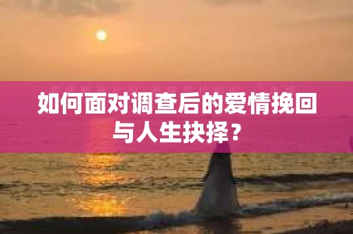 如何面对调查后的爱情挽回与人生抉择？