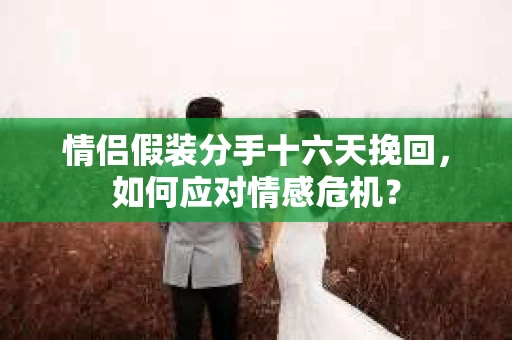 情侣假装分手十六天挽回，如何应对情感危机？